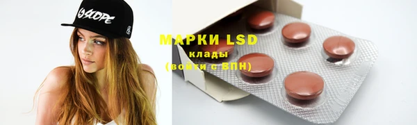 ПСИЛОЦИБИНОВЫЕ ГРИБЫ Краснотурьинск