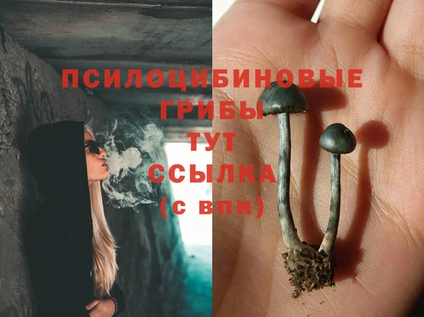 ПСИЛОЦИБИНОВЫЕ ГРИБЫ Краснотурьинск
