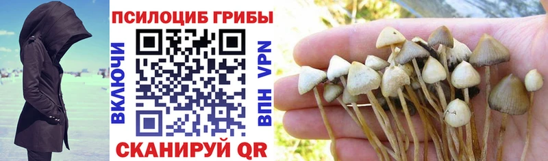 Галлюциногенные грибы GOLDEN TEACHER  Купить закладки  Белая Холуница 
